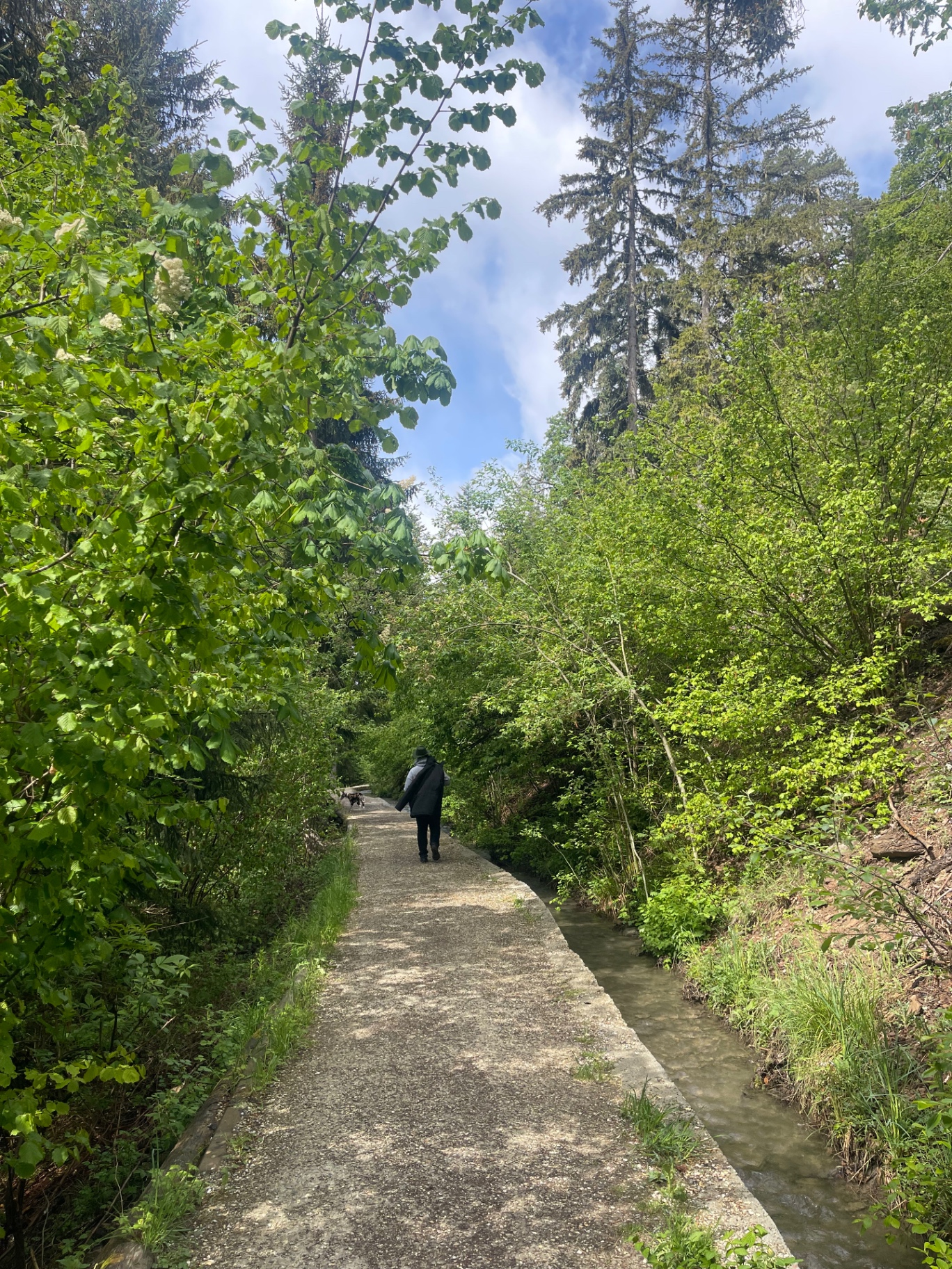 Randonnée en montagne l'été