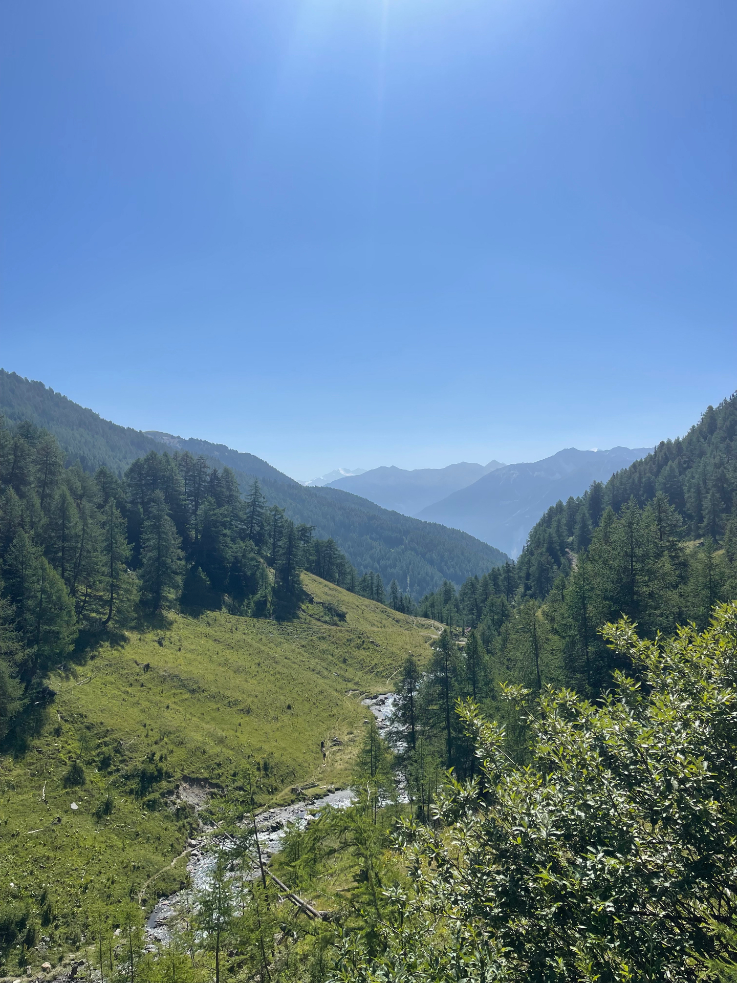 Vallée verdoyante pour le VTT en été