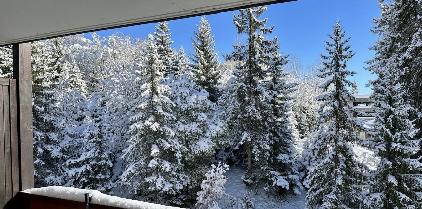 Vue hiver — sapins enneigés depuis le balcon
